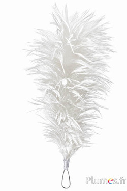 Pennacchio gallo con anello - altezza 40 cm - bianco